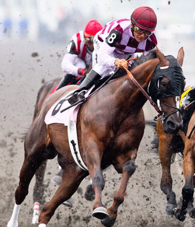 Horse Racing